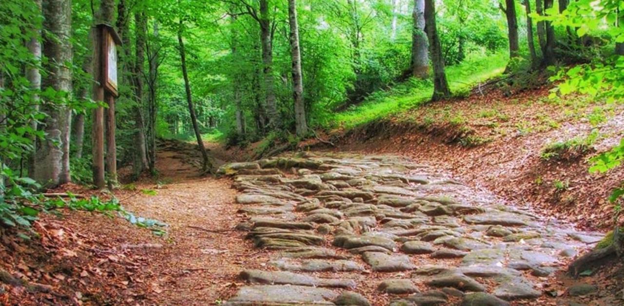 Agricampeggio Ca Di Mazza Monzuno Εξωτερικό φωτογραφία